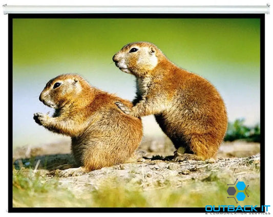 Brateck Manual Projector Screen 2.0x1.5m (4:3 ratio) (LS) Projector Screen and Mounts